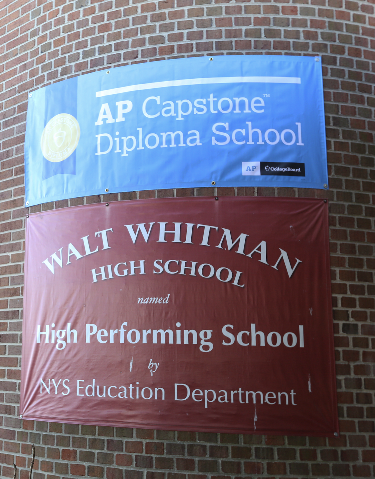 AP Capstone Vertical Banner